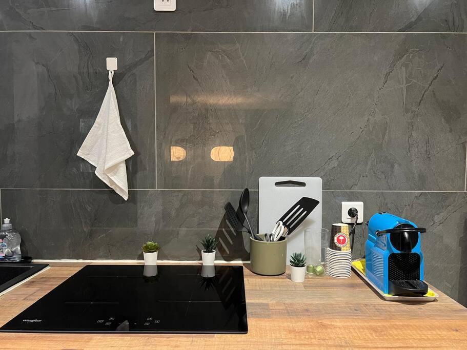 Appartement Charmant Appartement Strasbourg Strasbourg