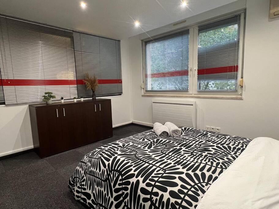 Charmant Appartement Strasbourg Appartement Strasbourg
